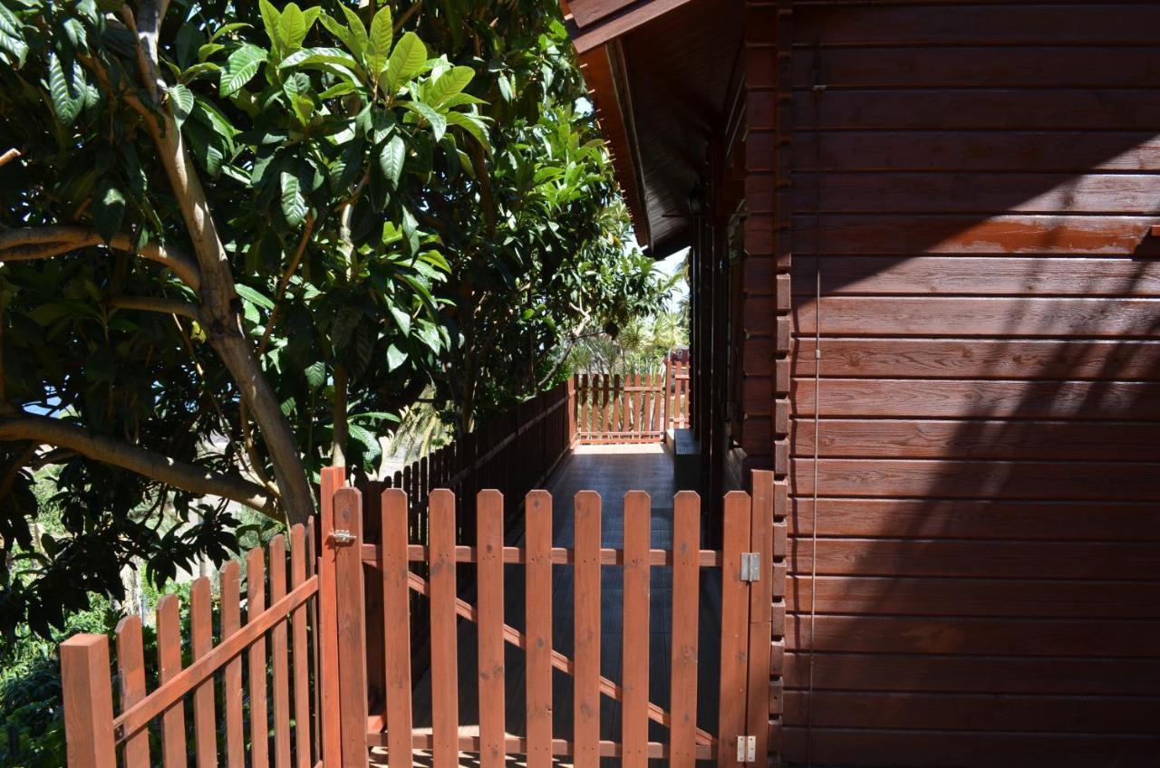 Cabana Los Palmeros, Vista Al Mar Y La Montana Alojera Zewnętrze zdjęcie