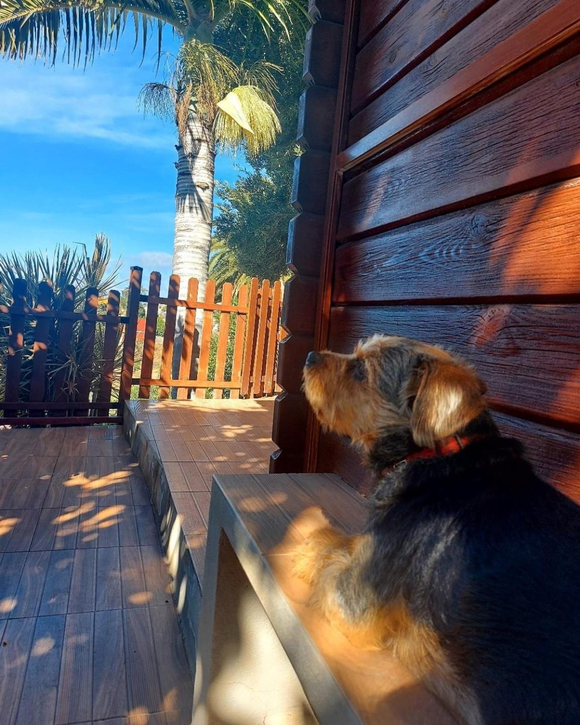Cabana Los Palmeros, Vista Al Mar Y La Montana Alojera Zewnętrze zdjęcie