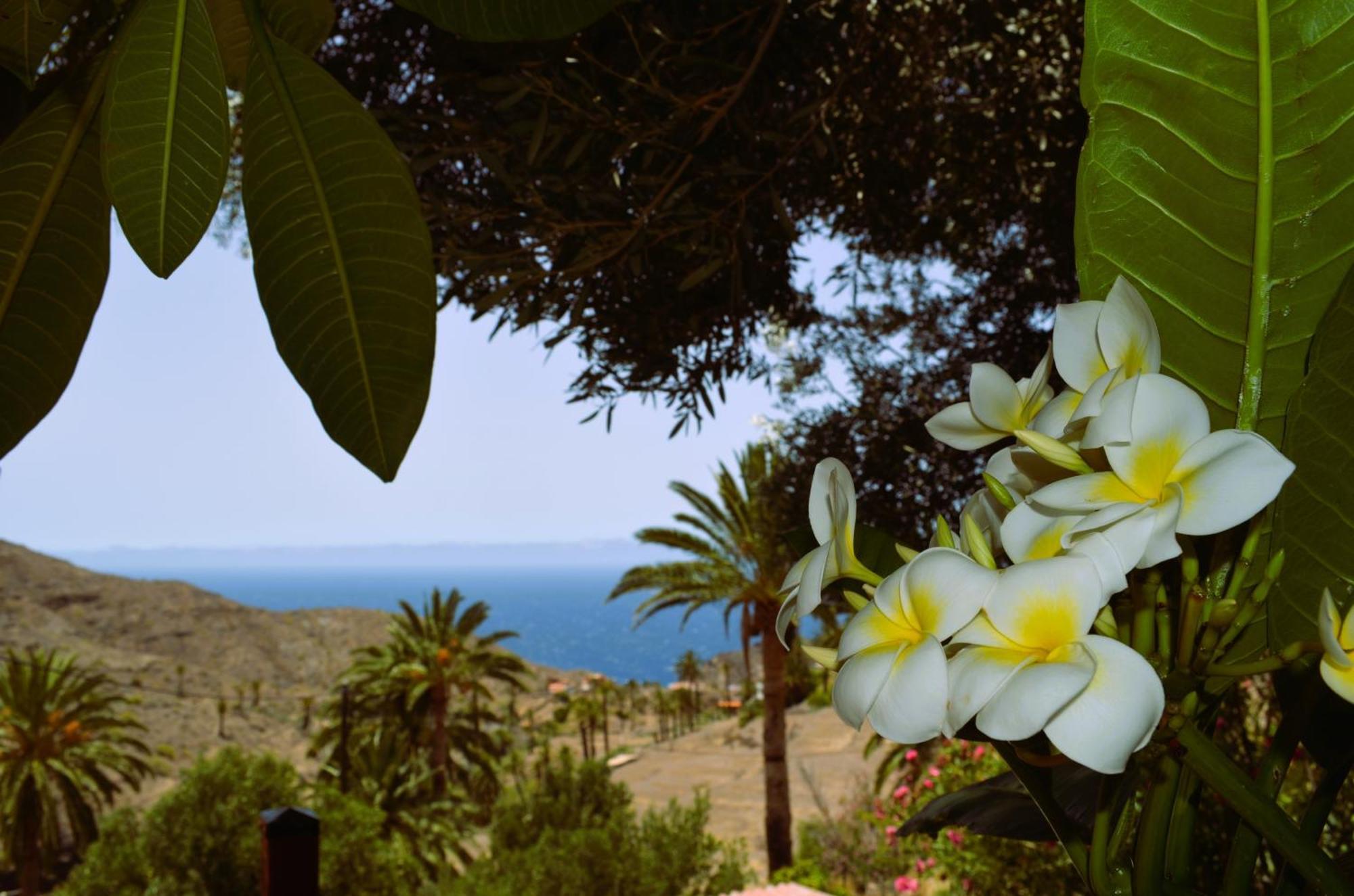 Cabana Los Palmeros, Vista Al Mar Y La Montana Alojera Zewnętrze zdjęcie